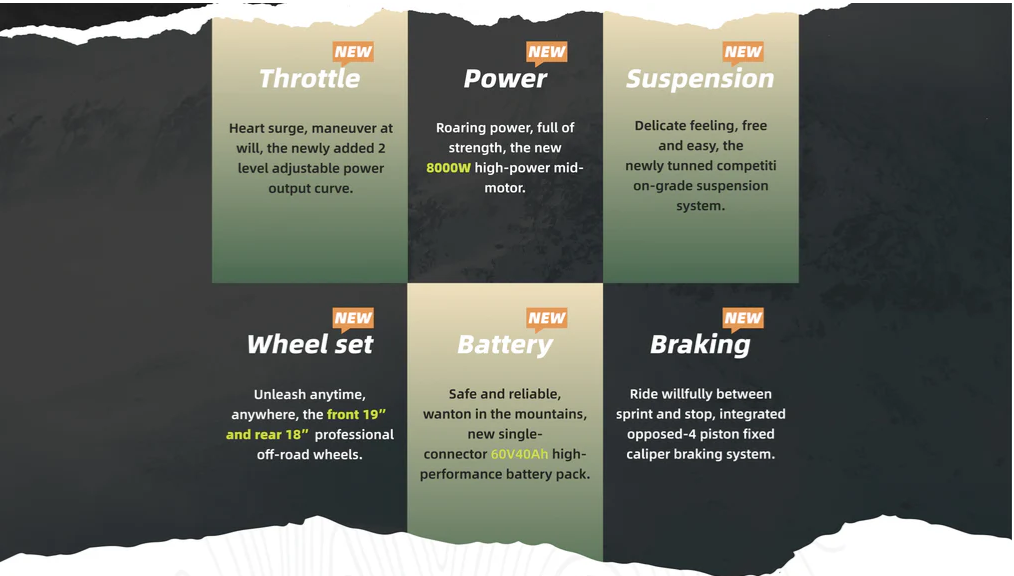 LIGHT BEE X Performance