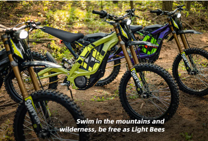 2025 LIGHT BEE X Pricing